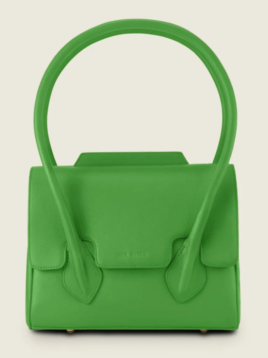 Colette S Sorbet - Kiwi