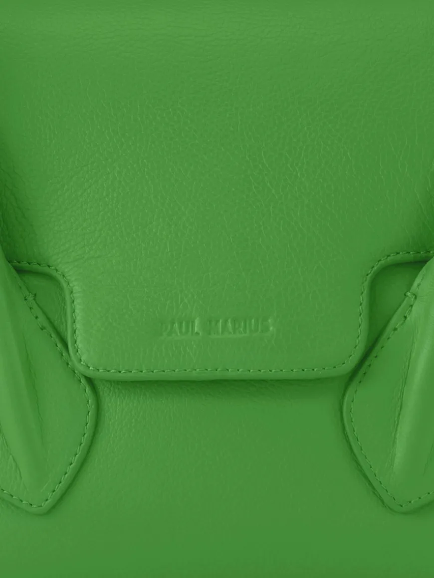 Colette S Sorbet - Kiwi