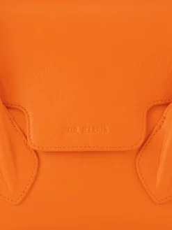 Colette S Sorbet - Mango