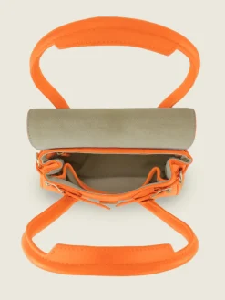 Colette XS Sorbet - Mango